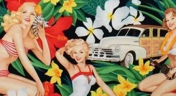 A close up of the fabric with flowers and cars